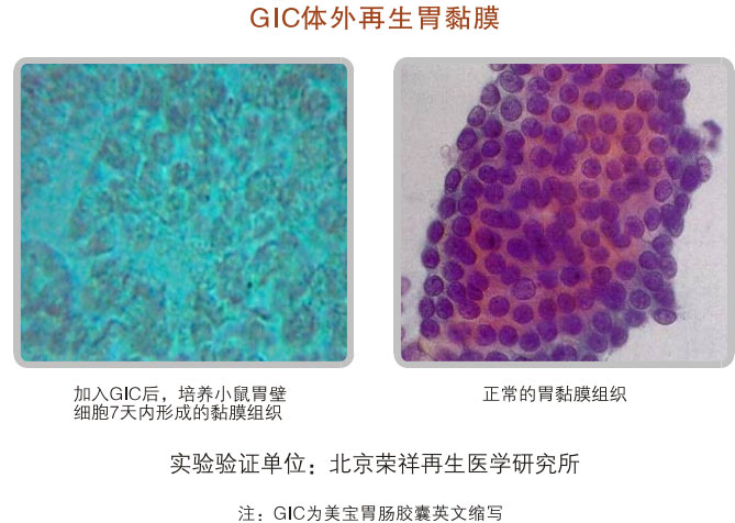 9170金沙集团_五、科学验证