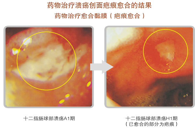 9170金沙集团_五、科学验证