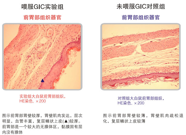 9170金沙集团_五、科学验证
