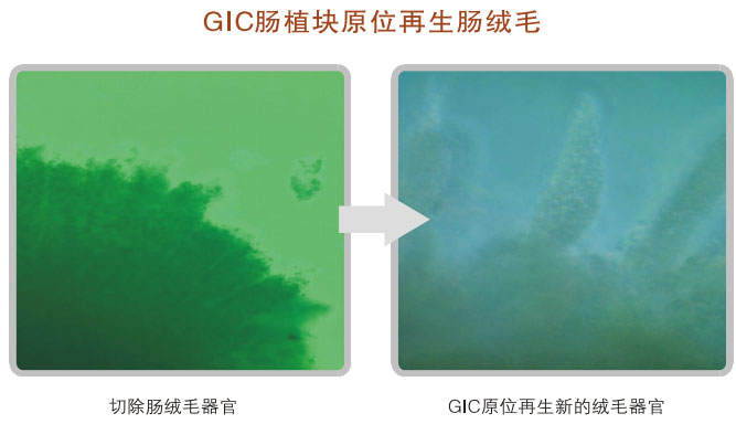 9170金沙集团_五、科学验证