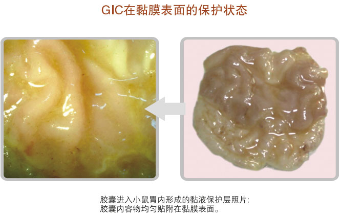 9170金沙集团_五、科学验证