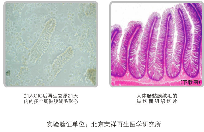 9170金沙集团_五、科学验证