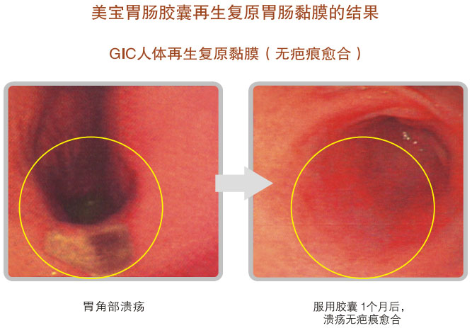 9170金沙集团_五、科学验证