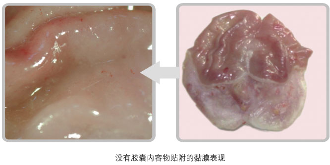 9170金沙集团_五、科学验证