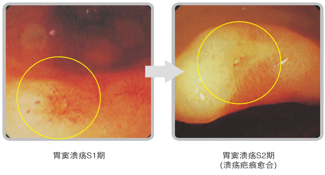9170金沙集团_五、科学验证