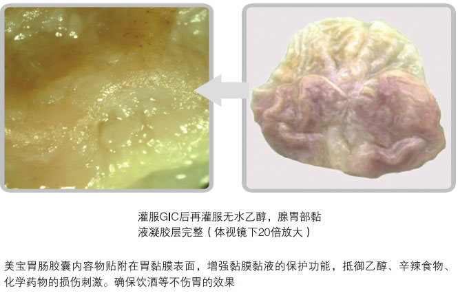 9170金沙集团_五、科学验证