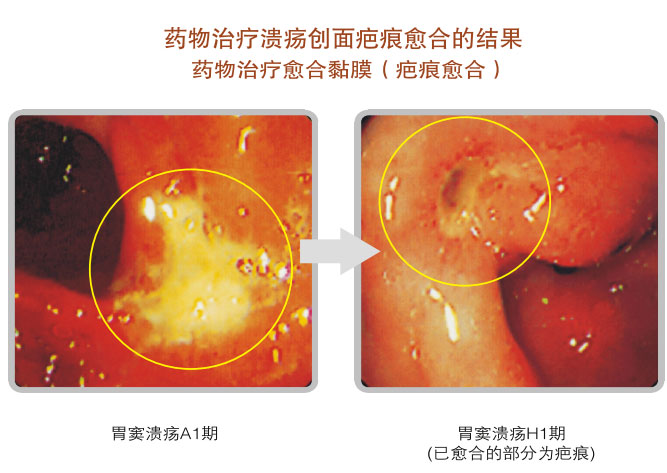 9170金沙集团_五、科学验证