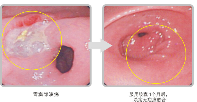 9170金沙集团_五、科学验证