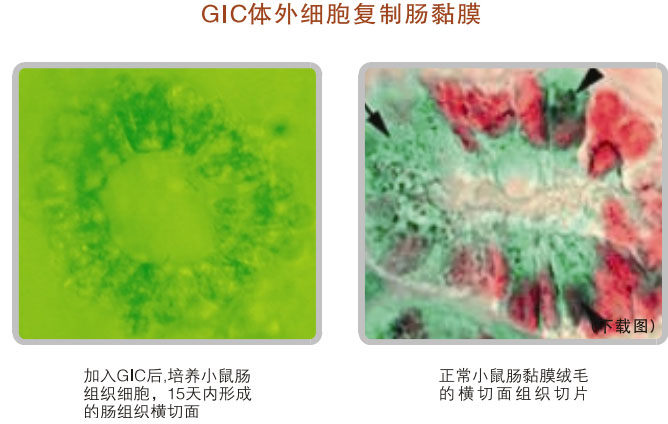 9170金沙集团_五、科学验证