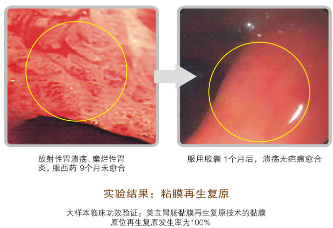 9170金沙集团_五、科学验证