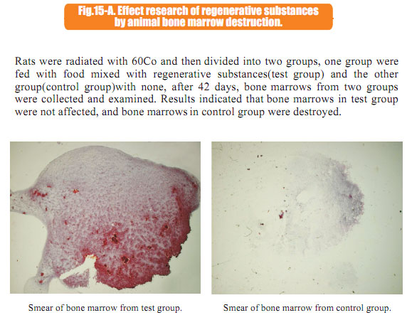 9170金沙集团_7  In situ regenerative restoration of multiple organs