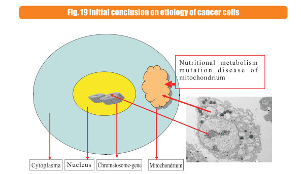 9170金沙集团_8  Research on rResearch on regenerative anti-cancer