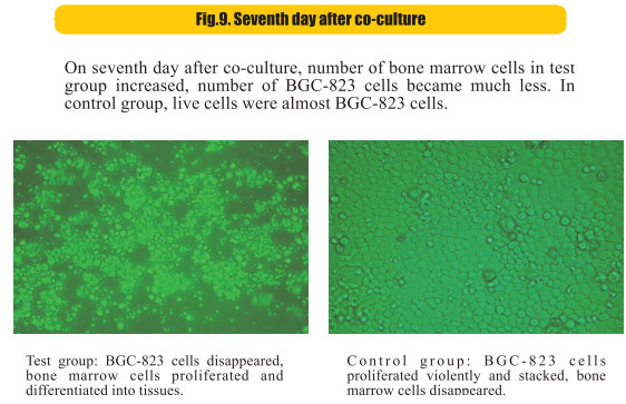 9170金沙集团_8  Research on rResearch on regenerative anti-cancer