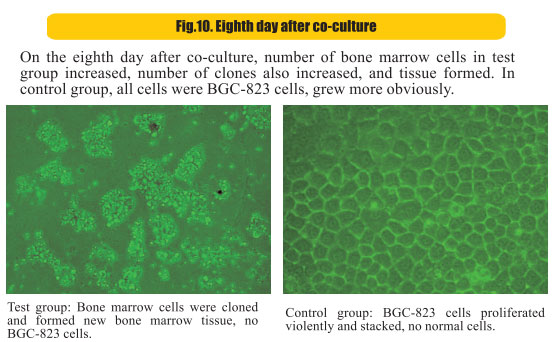 9170金沙集团_8  Research on rResearch on regenerative anti-cancer