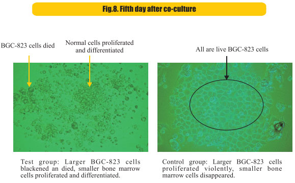 9170金沙集团_8  Research on rResearch on regenerative anti-cancer