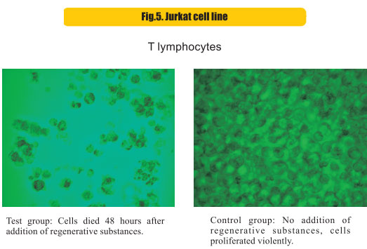 9170金沙集团_8  Research on rResearch on regenerative anti-cancer