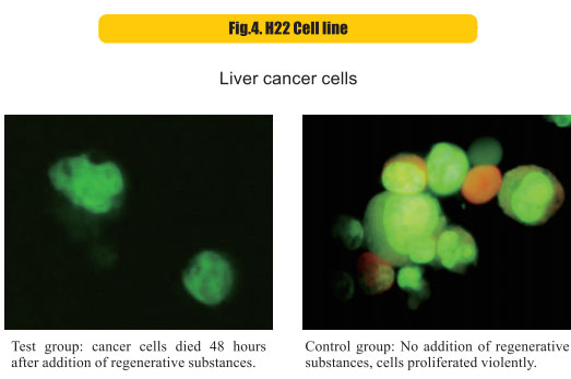 9170金沙集团_8  Research on rResearch on regenerative anti-cancer