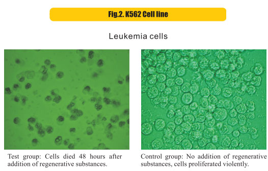 9170金沙集团_8  Research on rResearch on regenerative anti-cancer