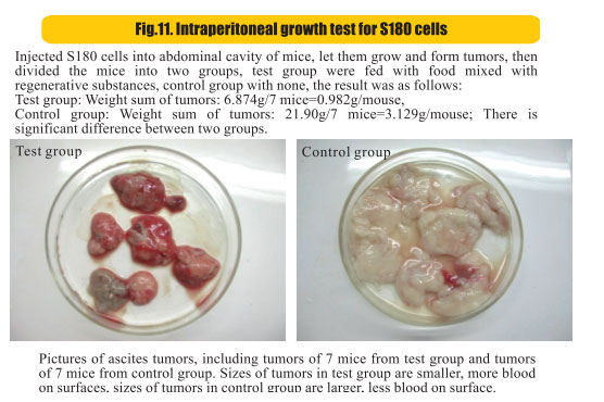 9170金沙集团_8  Research on rResearch on regenerative anti-cancer