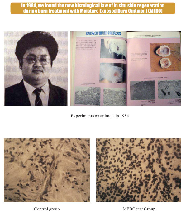 9170金沙集团_1.  The earliest period of histological discovery