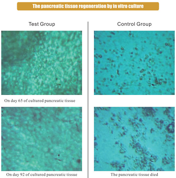 9170金沙集团_3. Period of repetition of in vitro animal cloning tests (19