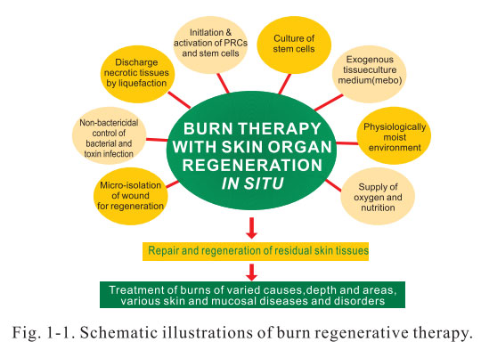 9170金沙集团_3. Discussion of the Future of Regenerative Medicine and The