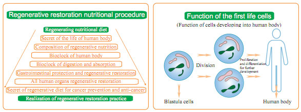 9170金沙集团_Life basis of regenerative restoration