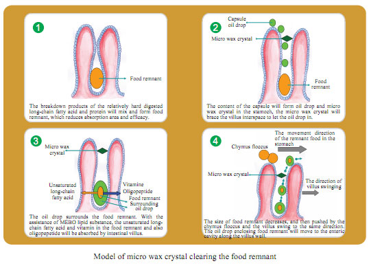 9170金沙集团_Part Four: Research about the Effects and Mechanisms