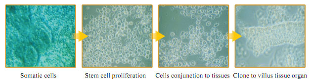 9170金沙集团_Part Four: Research about the Effects and Mechanisms