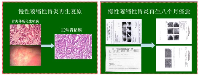 9170金沙集团_掌握再生生命定律 争做一代医学巨匠