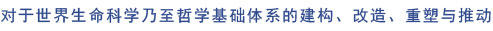 9170金沙(第一娱乐)娱城官网入口