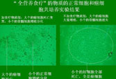 9170金沙(第一娱乐)娱城官网入口