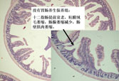 9170金沙(第一娱乐)娱城官网入口