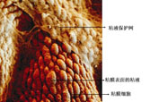 9170金沙(第一娱乐)娱城官网入口