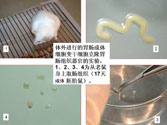 9170金沙(第一娱乐)娱城官网入口