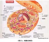 9170金沙(第一娱乐)娱城官网入口
